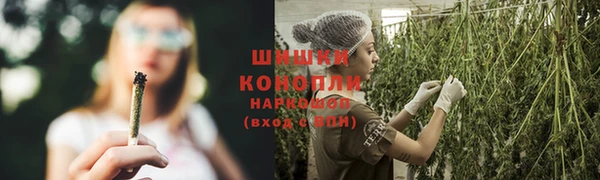 гидра Лиски