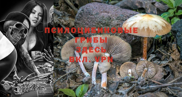 герыч Ладушкин