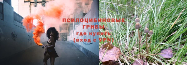 ГАЛЛЮЦИНОГЕННЫЕ ГРИБЫ Лабытнанги