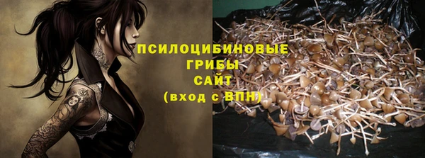 герыч Лагань