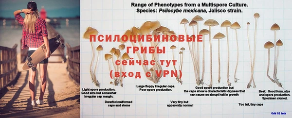 герыч Ладушкин