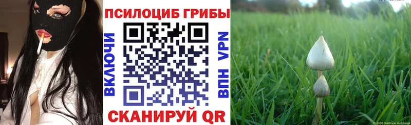 Псилоцибиновые грибы прущие грибы  Якутск 