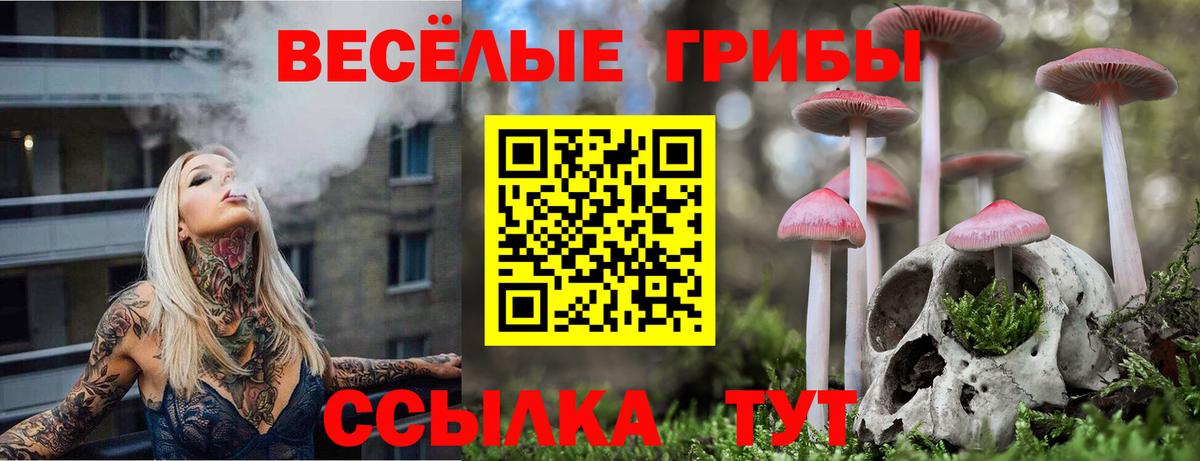 Якутск  Псилоцибиновые грибы MAGIC MUSHROOMS  Псилоцибиновые грибы MAGIC MUSHROOMS  Вход с VPN 